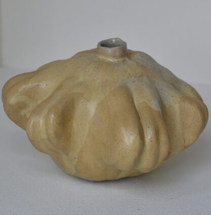 Pumpavas (Vetegul) - Bild 2